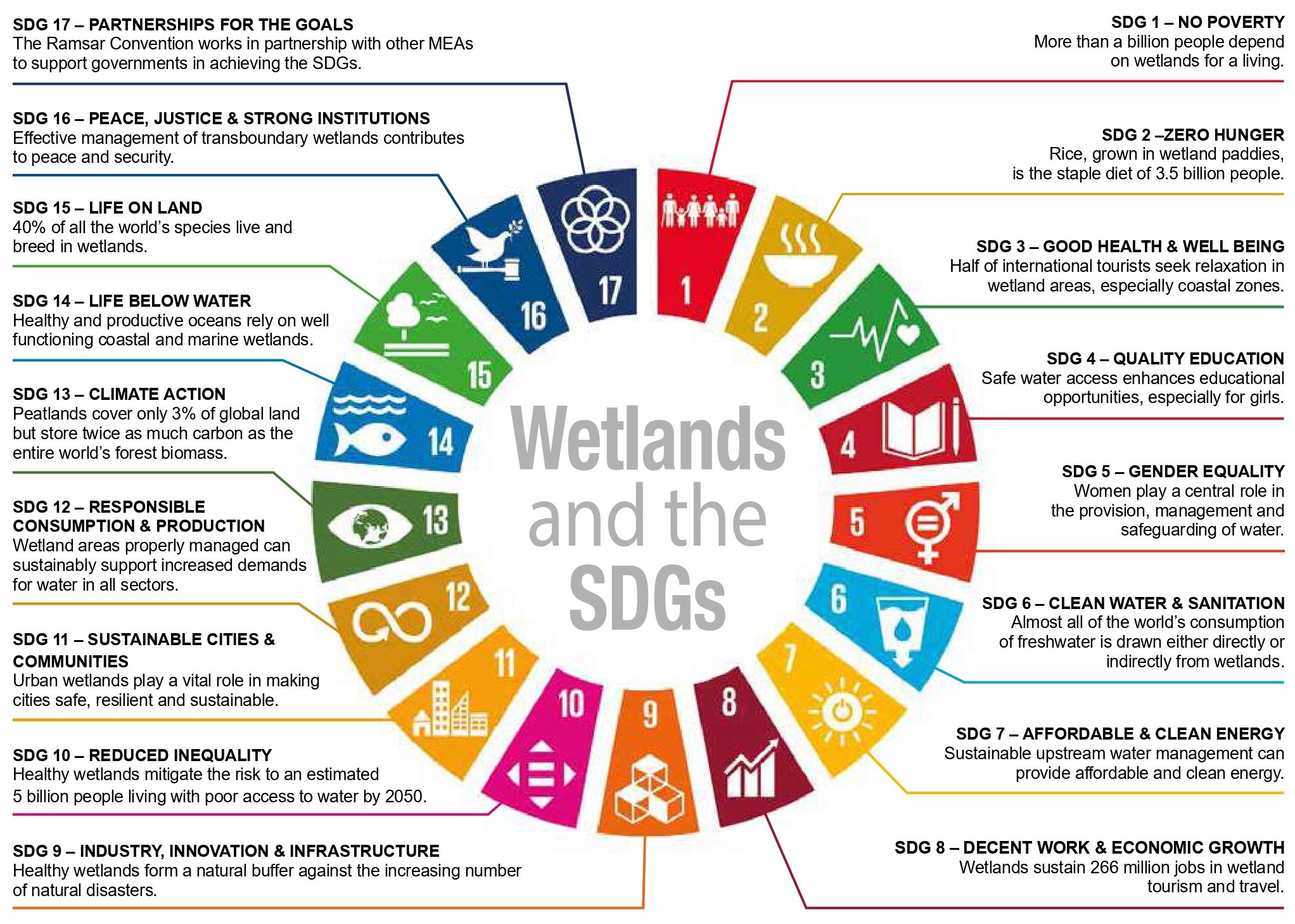wetlands Mitigation and Adaptation to climate change