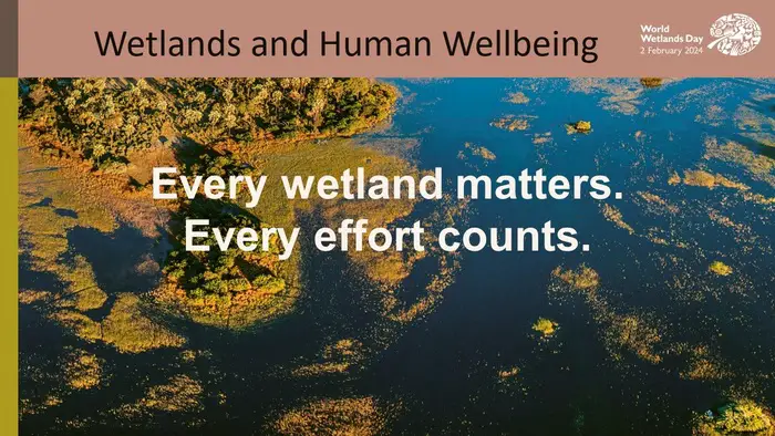 World Wetland Day Celebration 2024